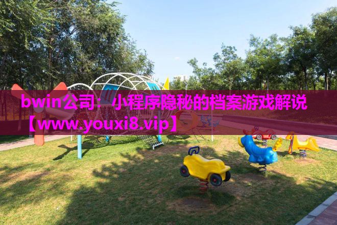 <strong>bwin公司：小程序隐秘的档案游</strong>